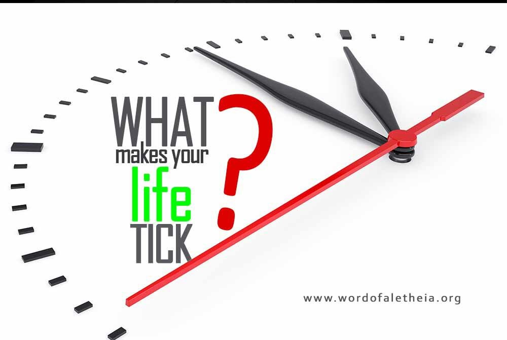 What Makes Your Life Tick?